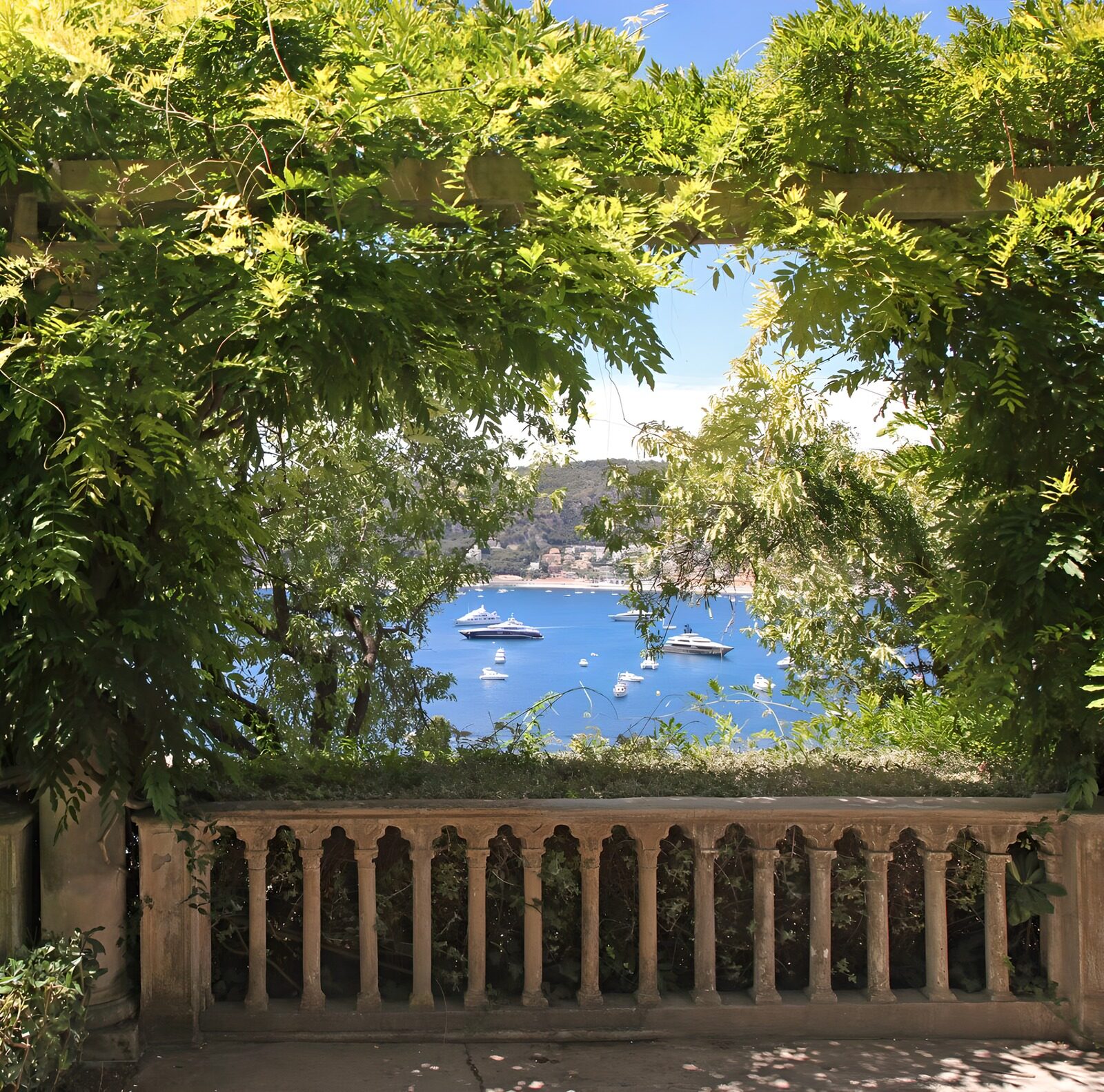 OCCOM3430368: Tranquil Harbor View Framed by Greenery