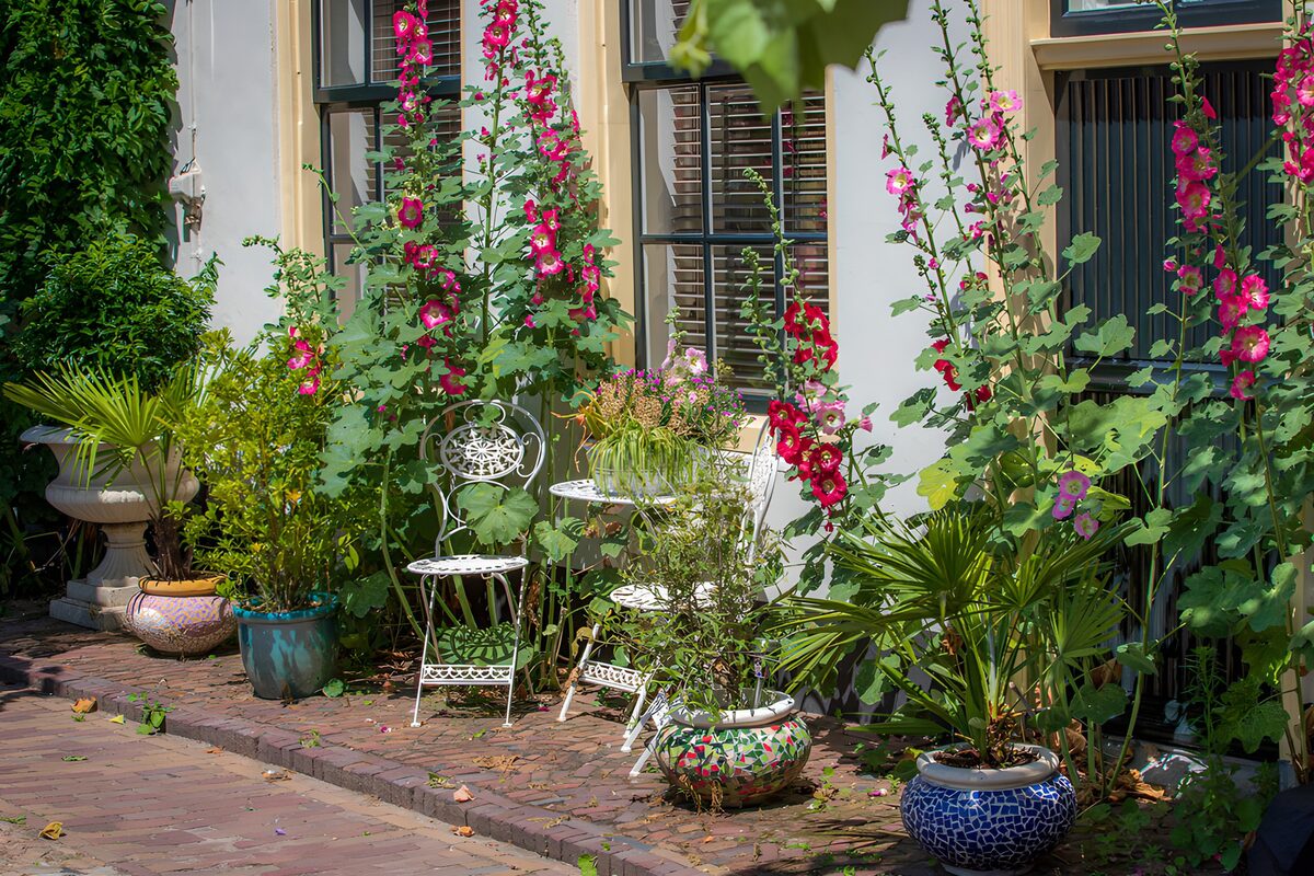 OCCOM1530448: Charming Garden Corner with Colorful Blooms