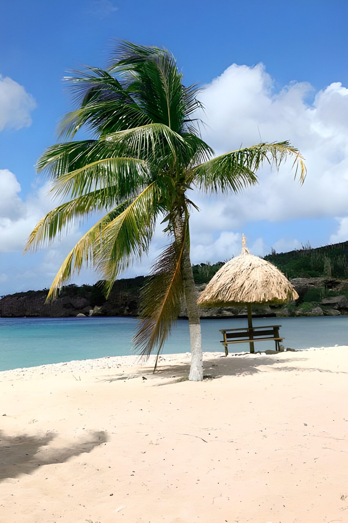 OCCOM7706762: Tropical Beach Paradise