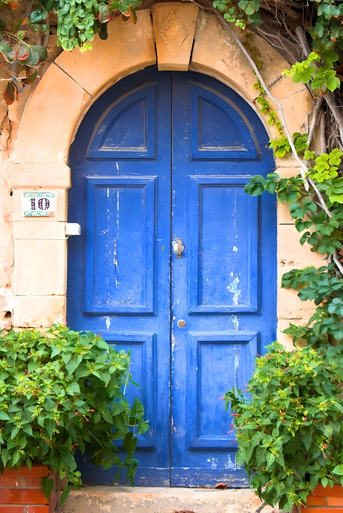 OCCOM7214464: Charming Blue Doorway in Nature