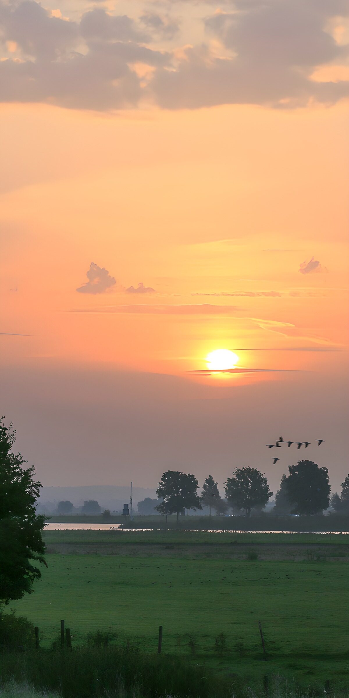 OCCOM8958551: Serene Sunset Over the Landscape