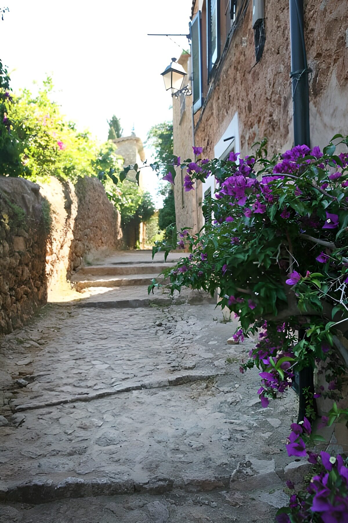 Scenic Stone Pathway with Bougainvillea