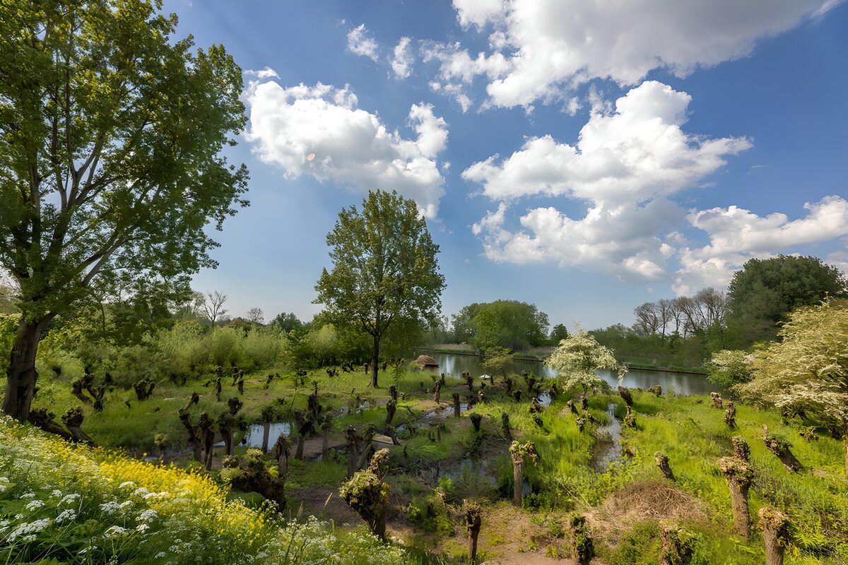 OCCOM1221422: Tranquil Waterside Scene