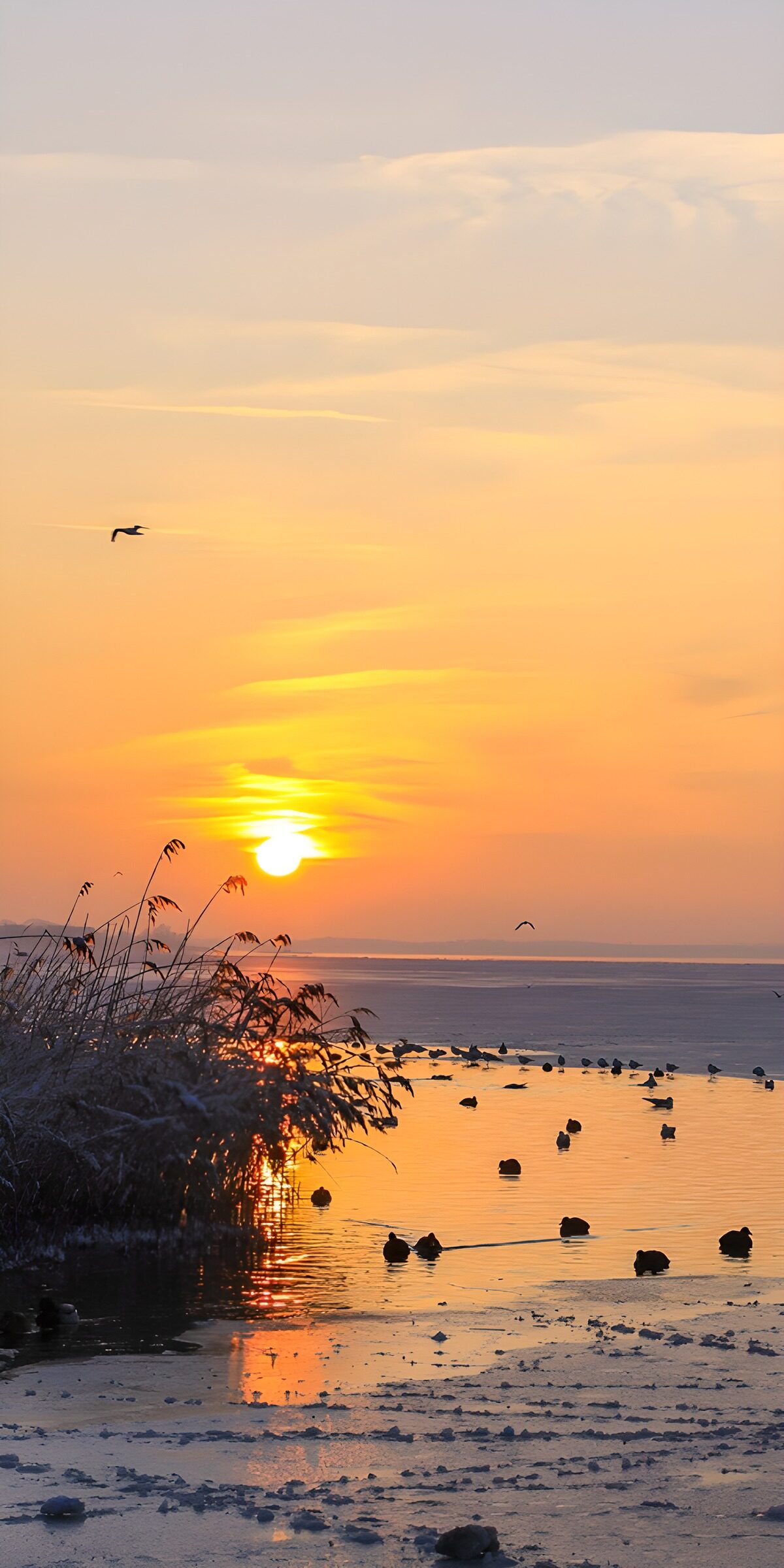 OCCOM5886217: Sunset Serenity Over Frozen Waters