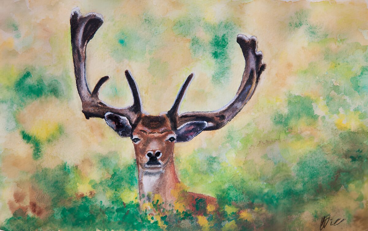 Majestic Stag in Watercolor