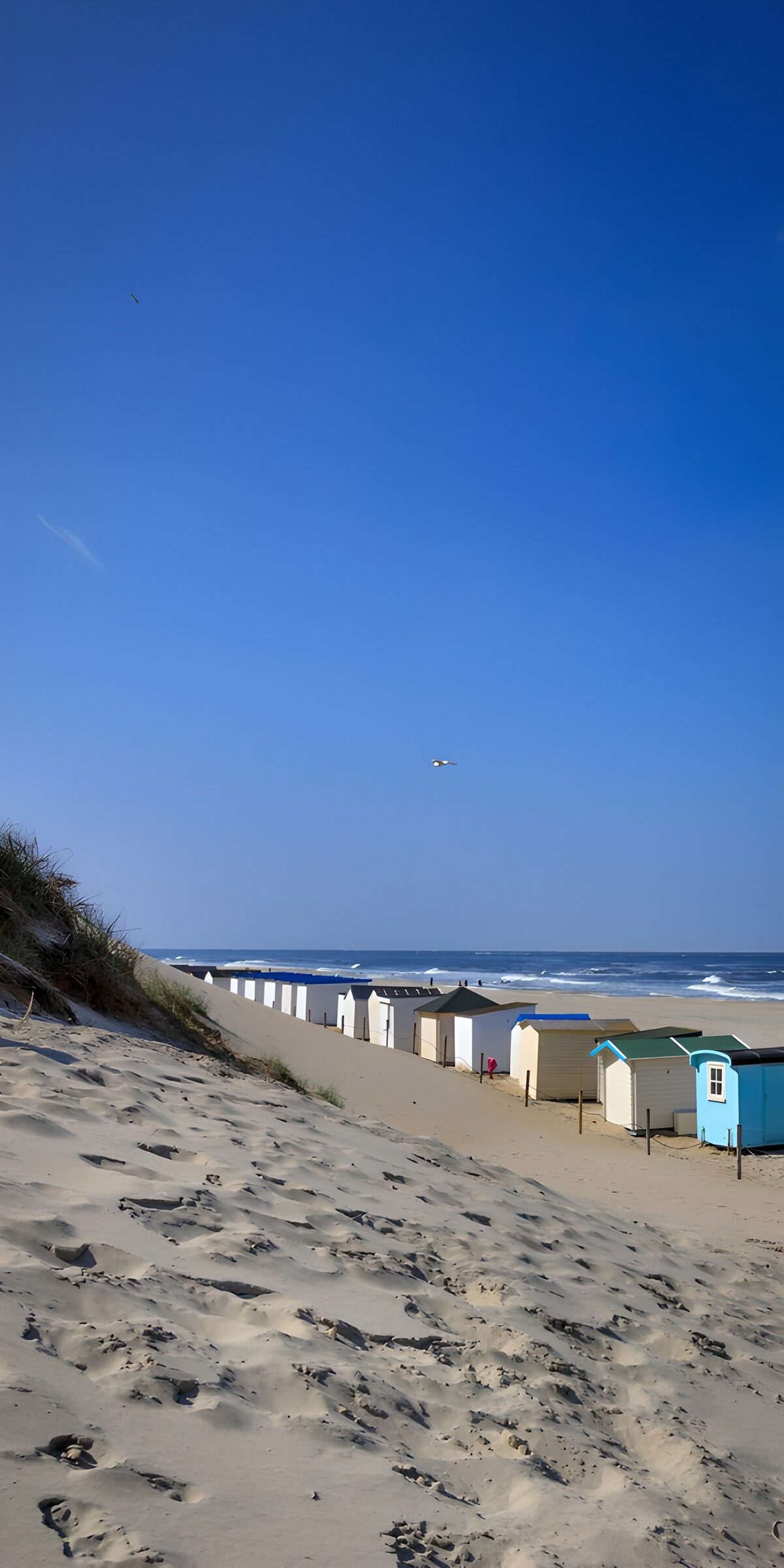 OCCOM2119832: Coastal Beach Huts Under Clear Blue Sky