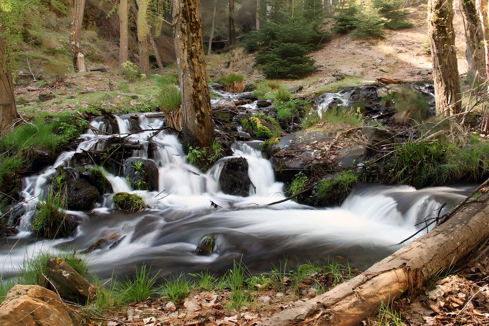 OCCOM5067751: Serene Mountain Stream