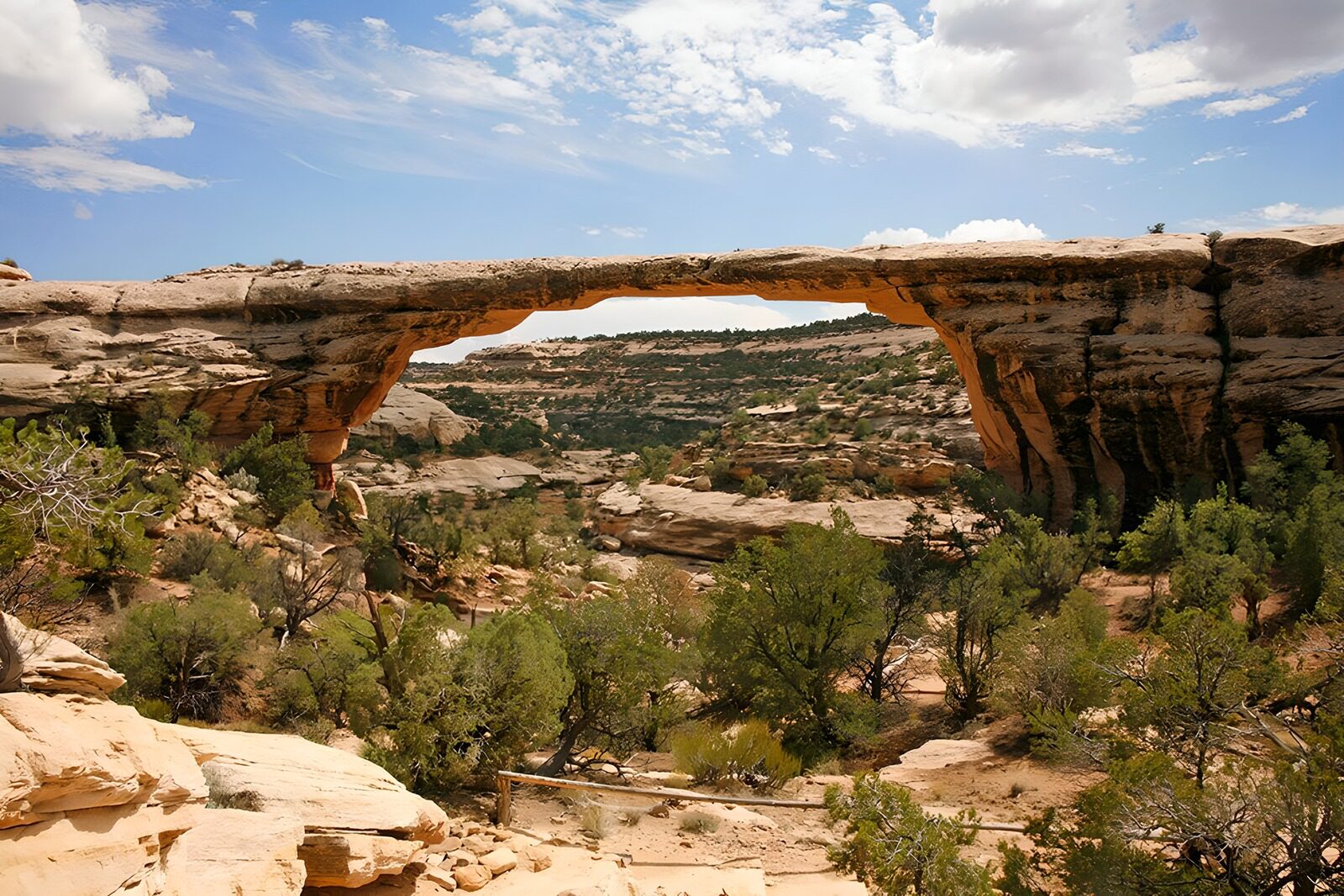 OCCOM1977871: Natural Wonder: The Rock Bridge