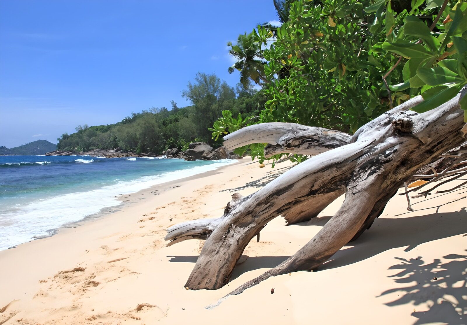 OCCOM8181406: Tranquil Beach Escape