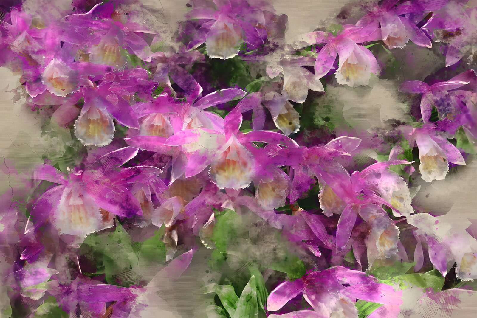 OCCOM8467483: Vibrant Orchid Blooms in Watercolor Style