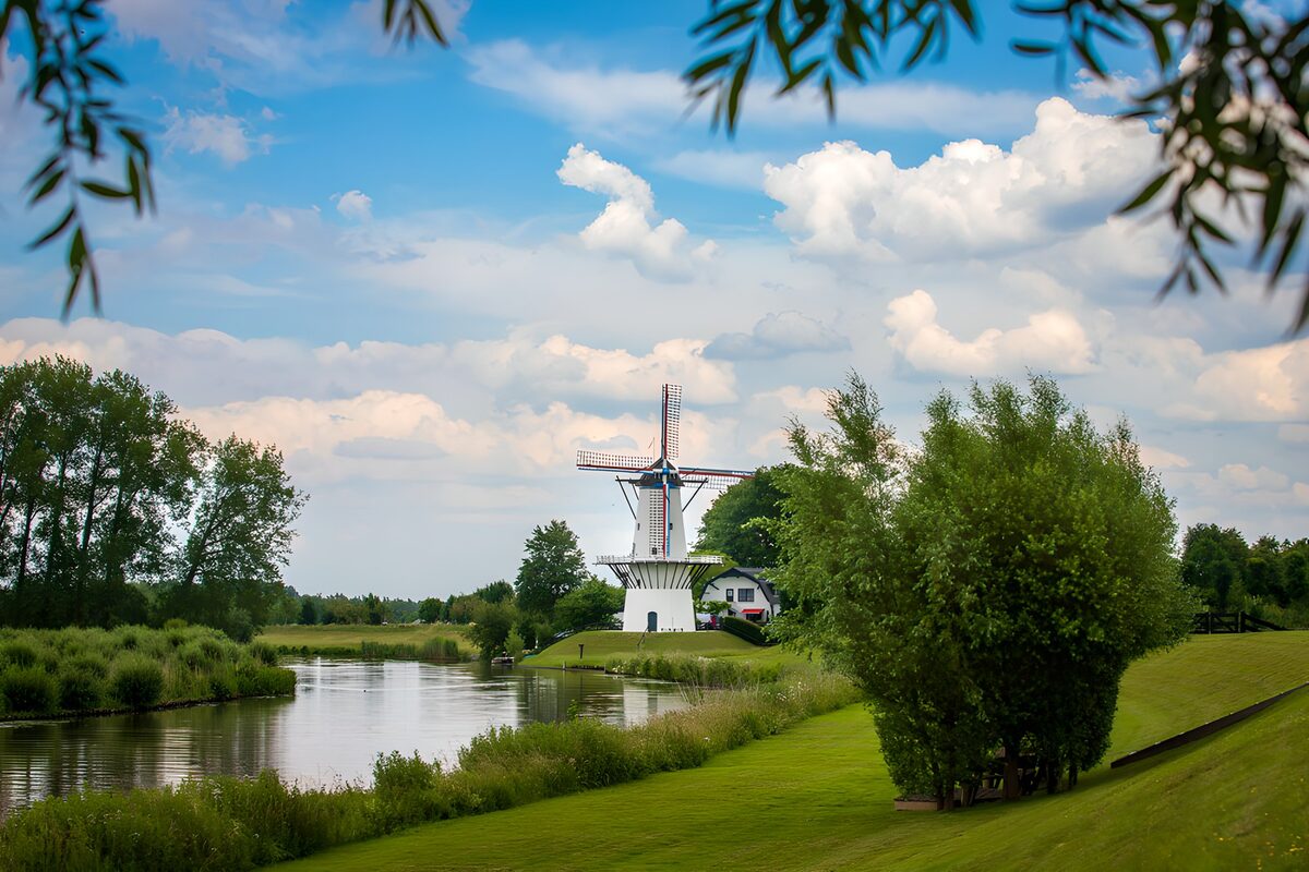 OCCOM7881248: Scenic Windmill by the River