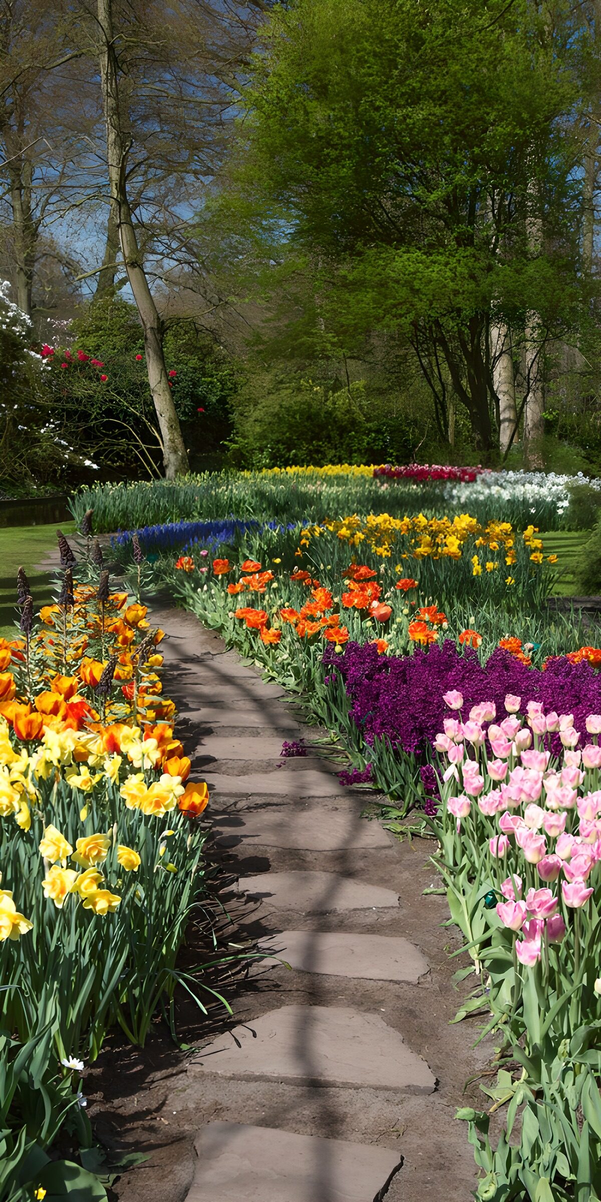 OCCOM7146937: Vibrant Spring Pathway
