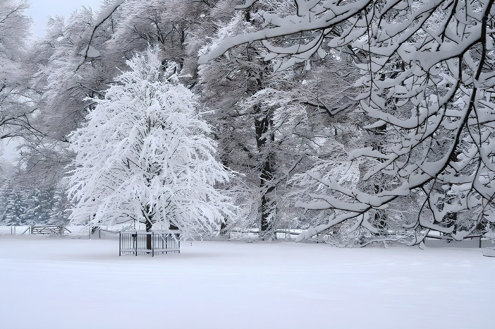OCCOM9991731: Winter Wonderland Serenity