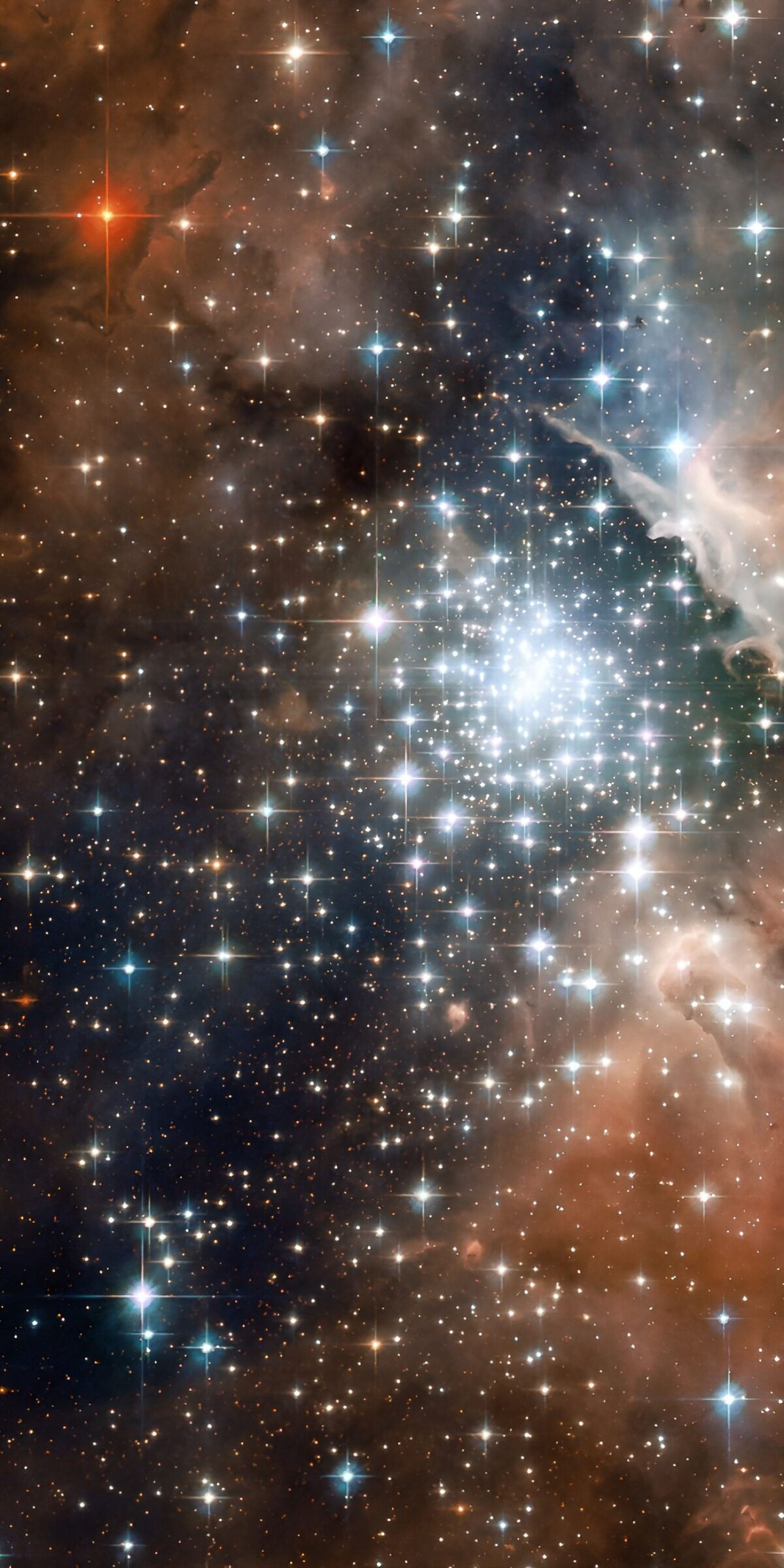 OCCOM8421653: Cosmic Wonders: A Star-Studded Nebula