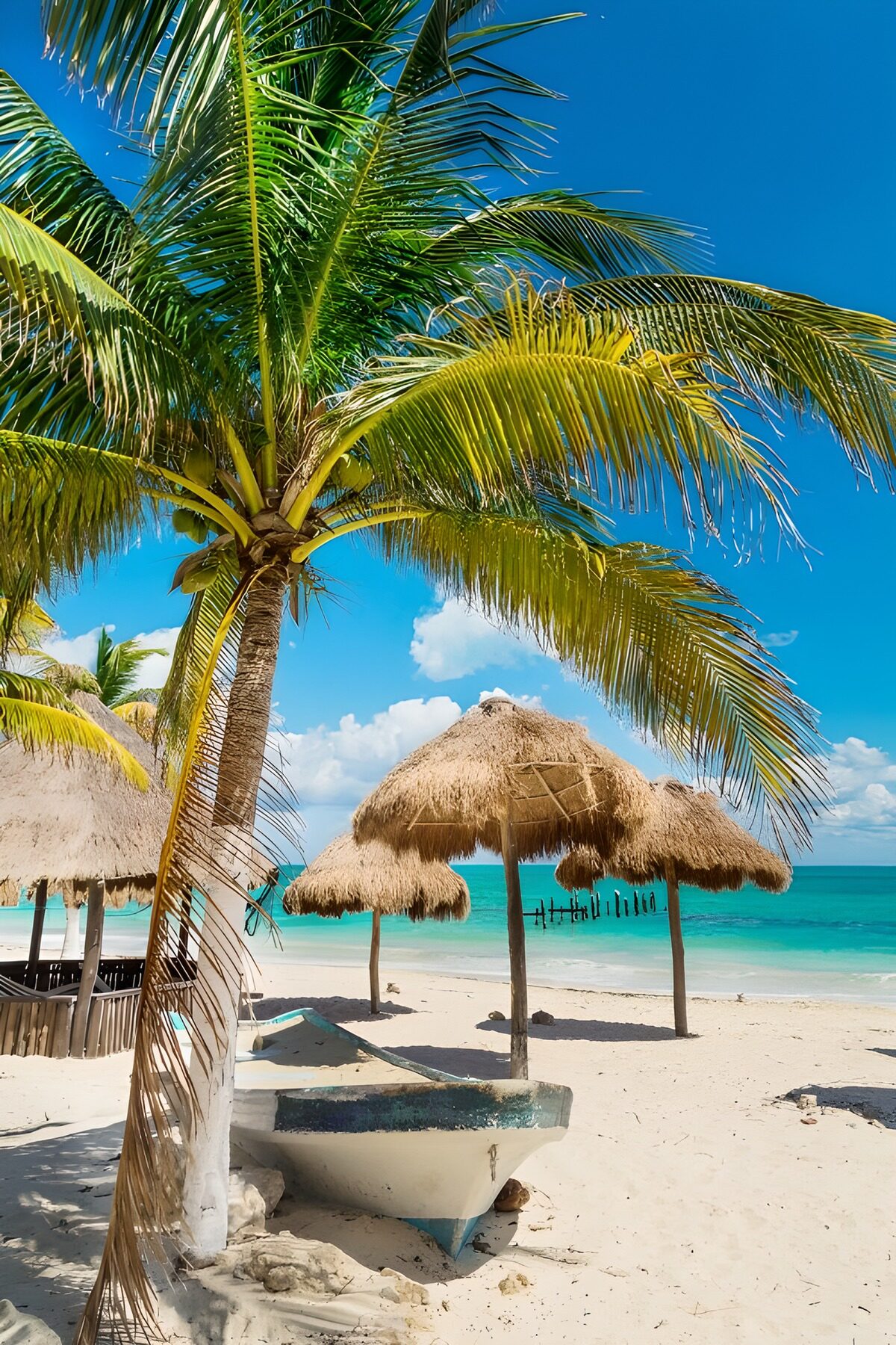 OCCOM5860161: Tropical Paradise Oasis