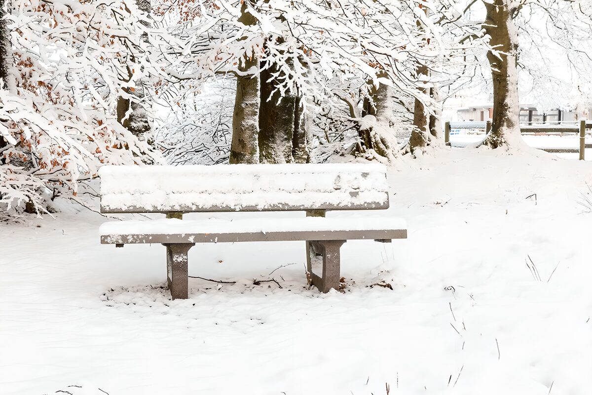 Snow-Covered Bench in Winter Wonderland