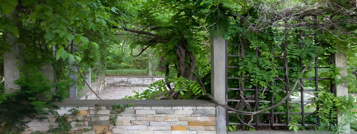 OCCOM8088078: Lush Green Gateway