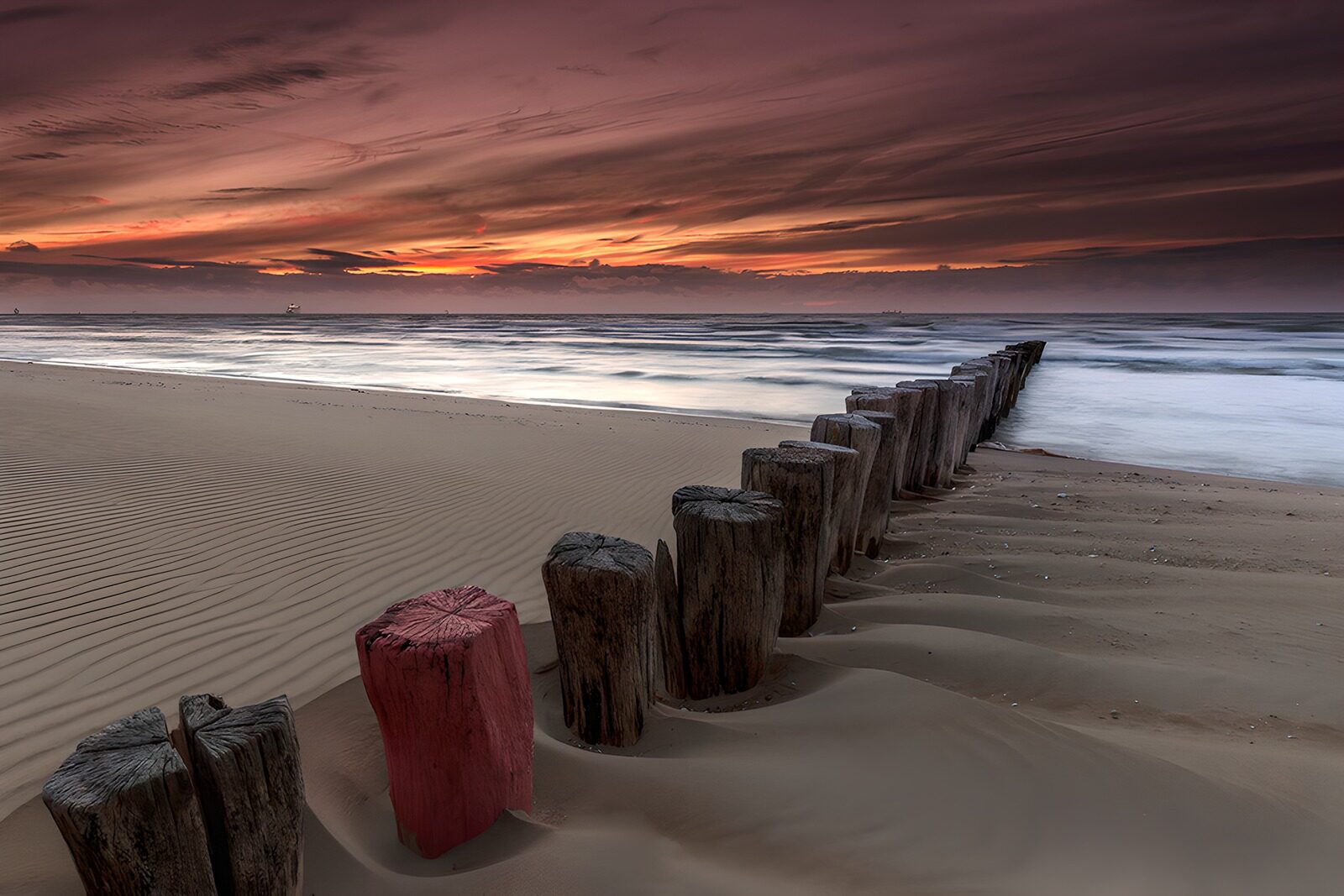 OCCOM8557329: Tranquil Sunset Over the Shoreline