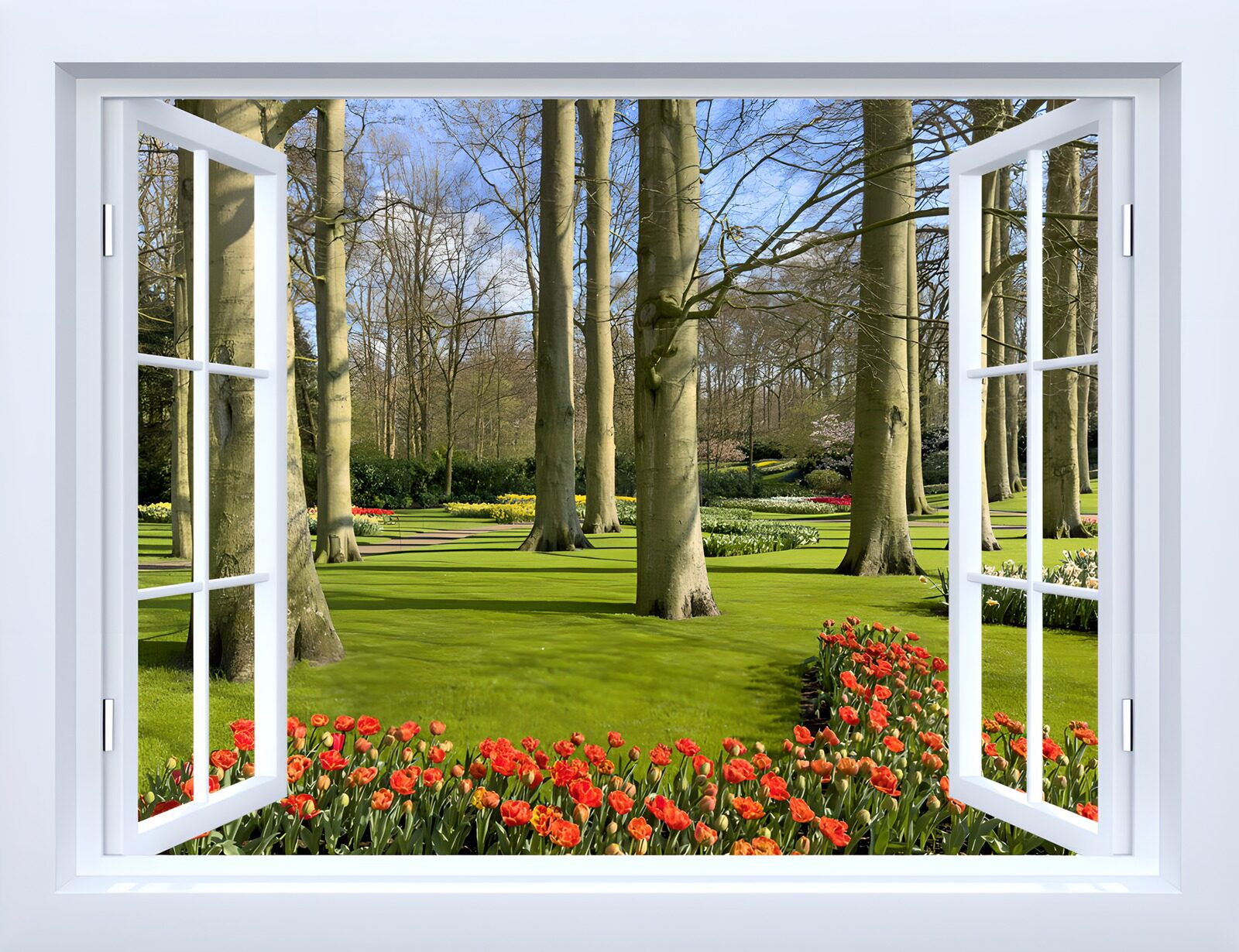 OCCOM3933307: A Glimpse of Floral Serenity