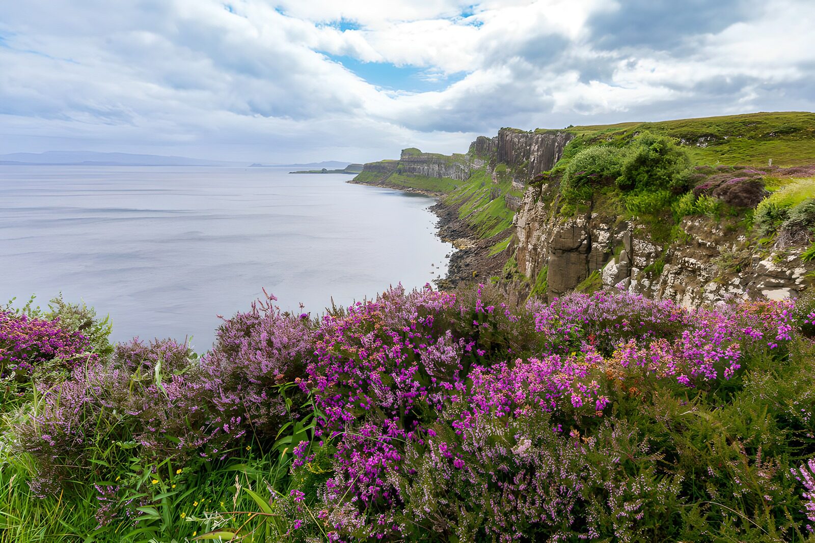 OCCOM1579778: Serene Cliffs by the Ocean