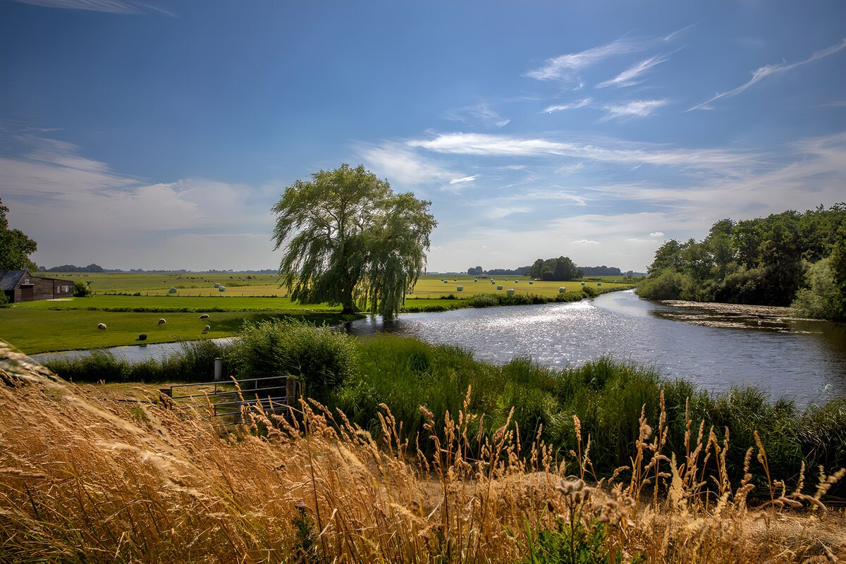 OCCOM2537287: Serene River Landscape in Summer