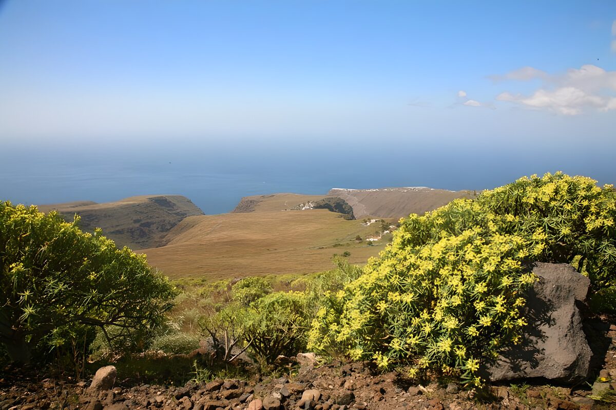 Scenic Coastal View from the Hills