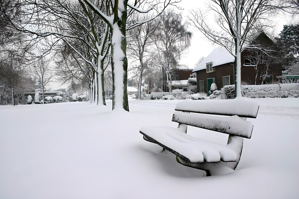 "Winter's Quiet Embrace"