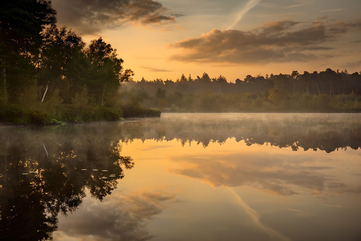 Serene Sunrise Over Still Waters