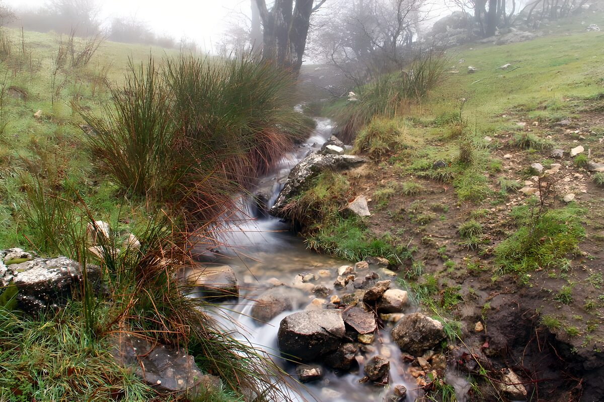 OCCOM4711820: Misty Stream in Lush Green Landscape