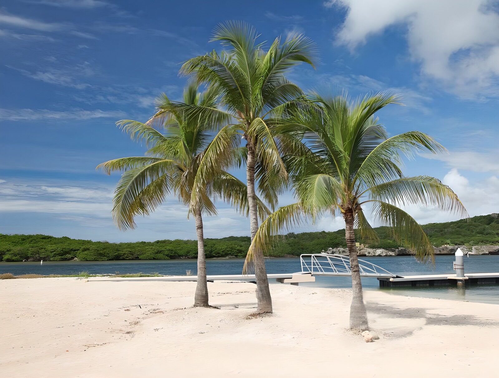 OCCOM5159068: Tropical Paradise by the Shore