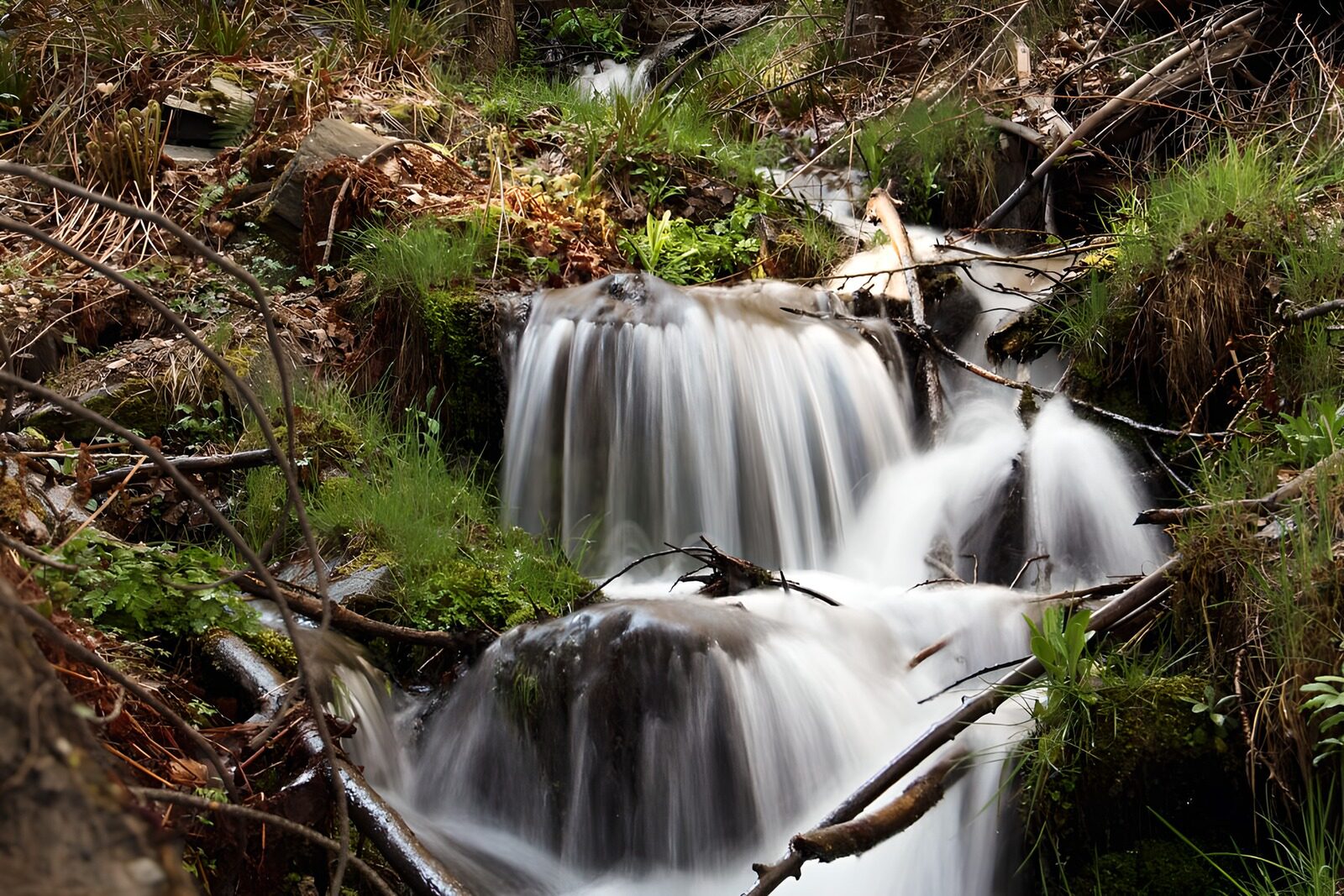 OCCOM7054989: Serene Forest Waterfall