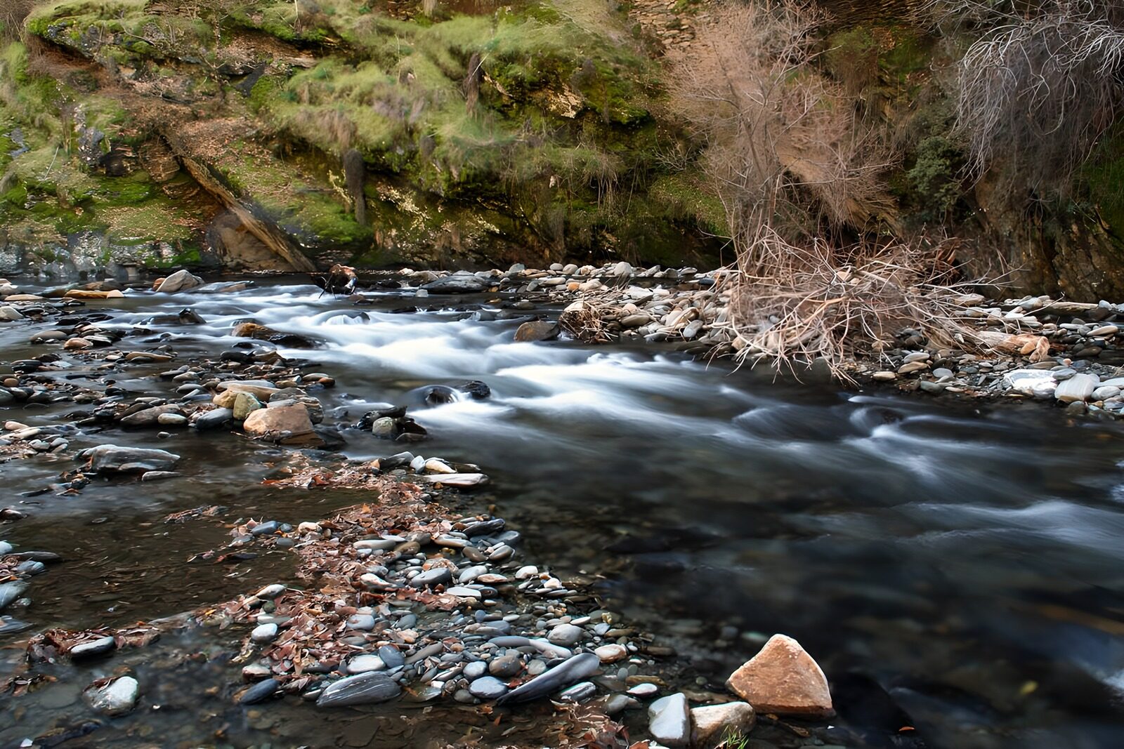 OCCOM8668748: Serene Flow of the Mountain Stream