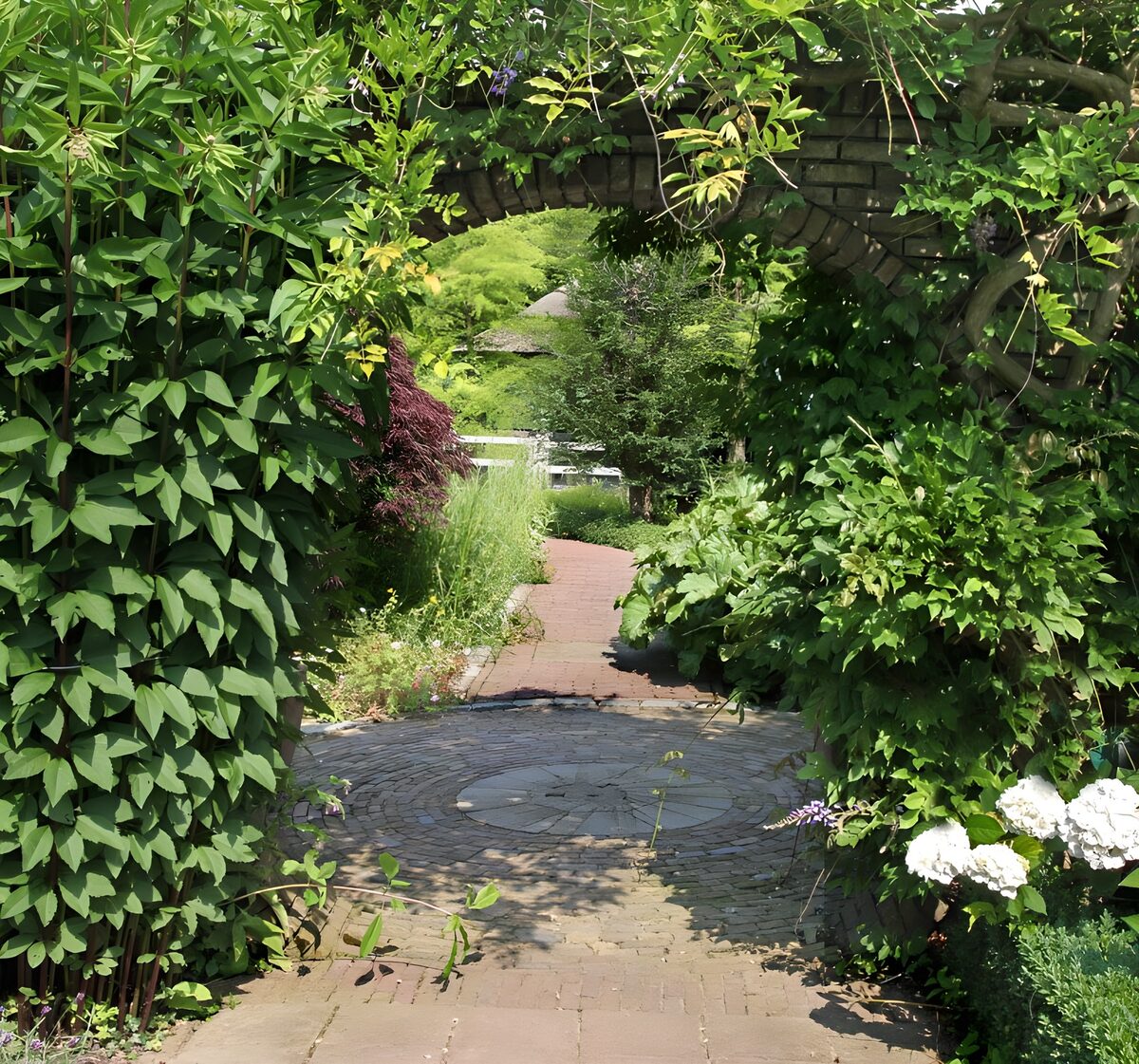 OCCOM3541183: Serenity in a Garden Pathway