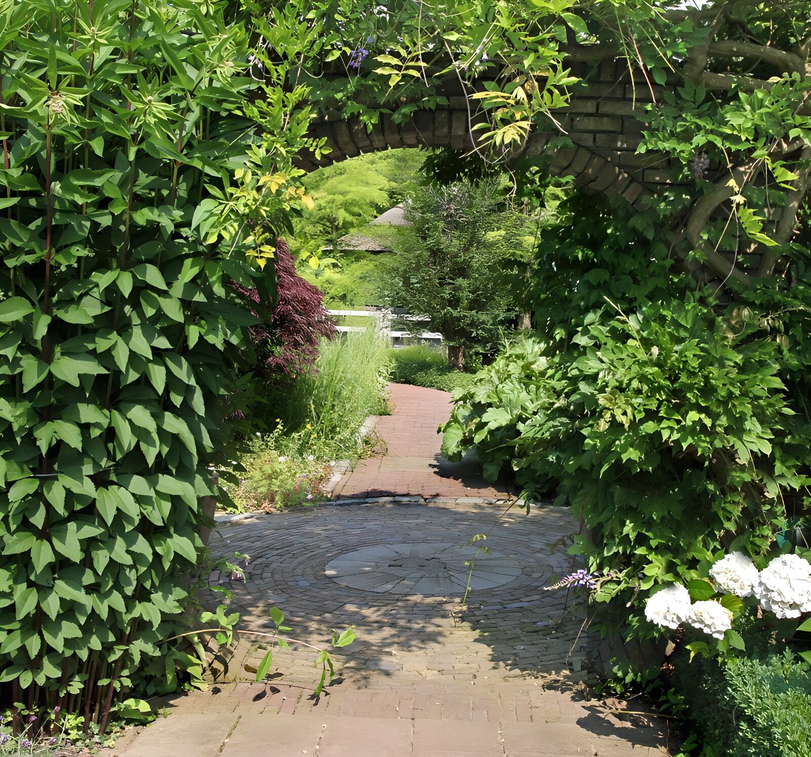 OCCOM3541183: Serenity in a Garden Pathway