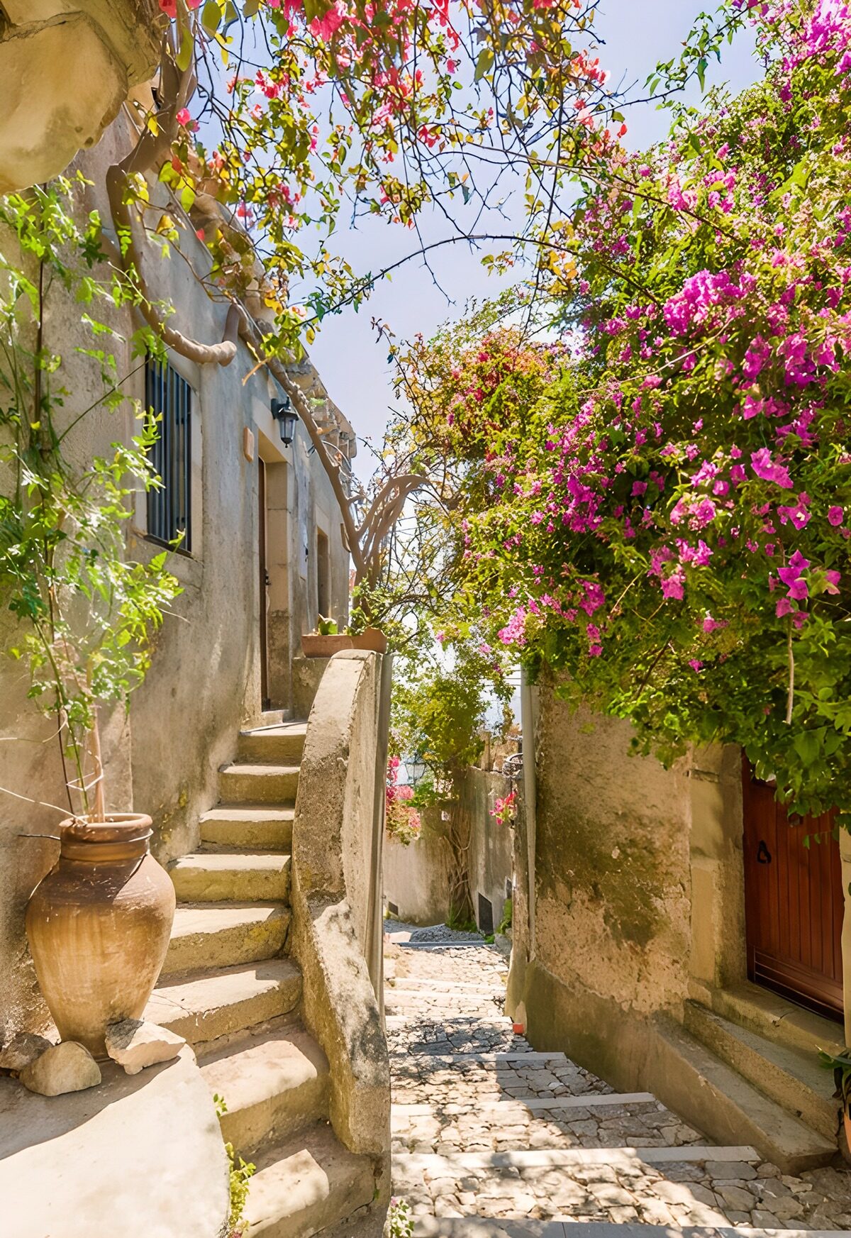 OCCOM6380856: Charming Cobblestone Pathway