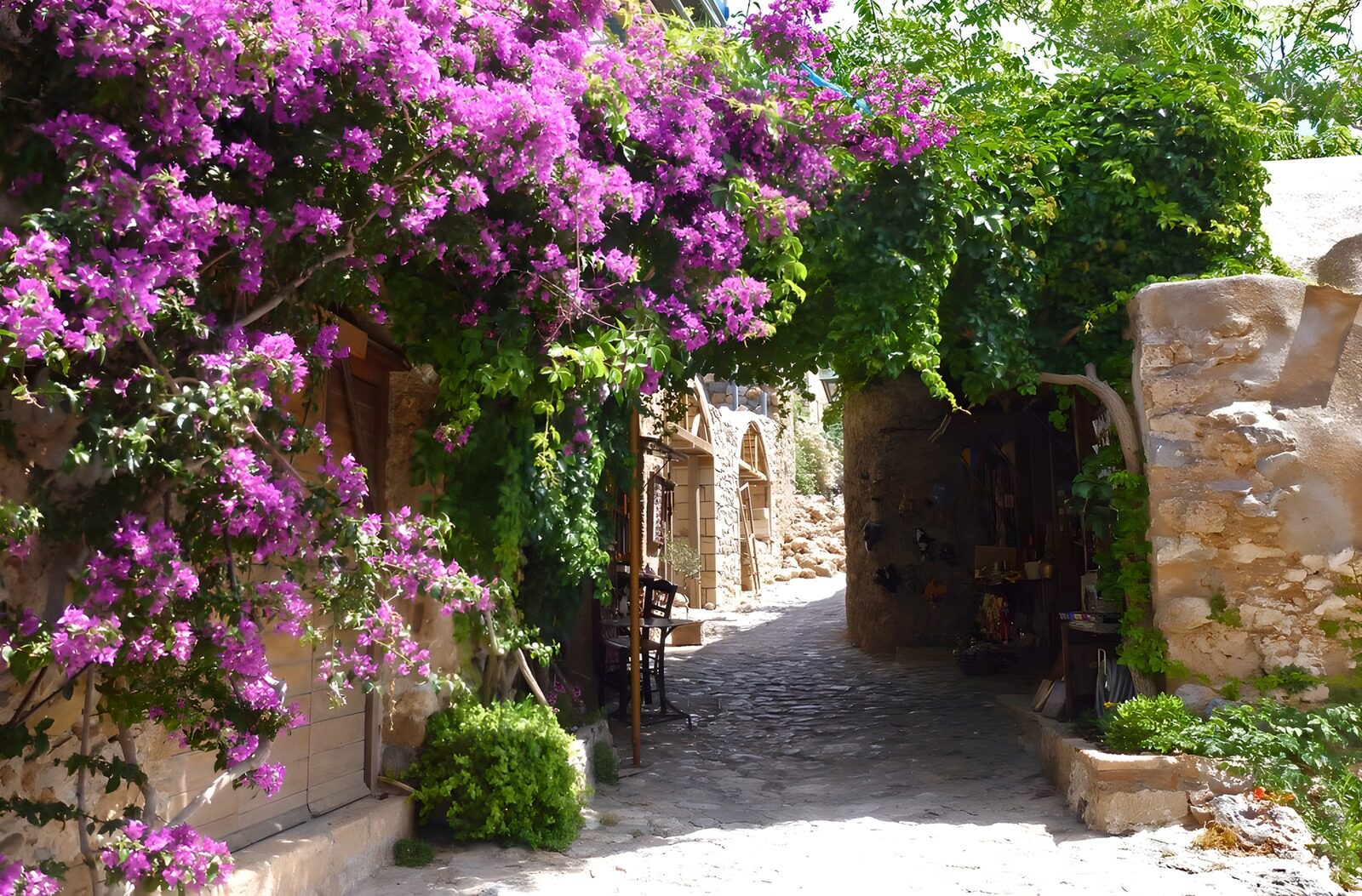 OCCOM8554289: Enchanted Cobblestone Pathway