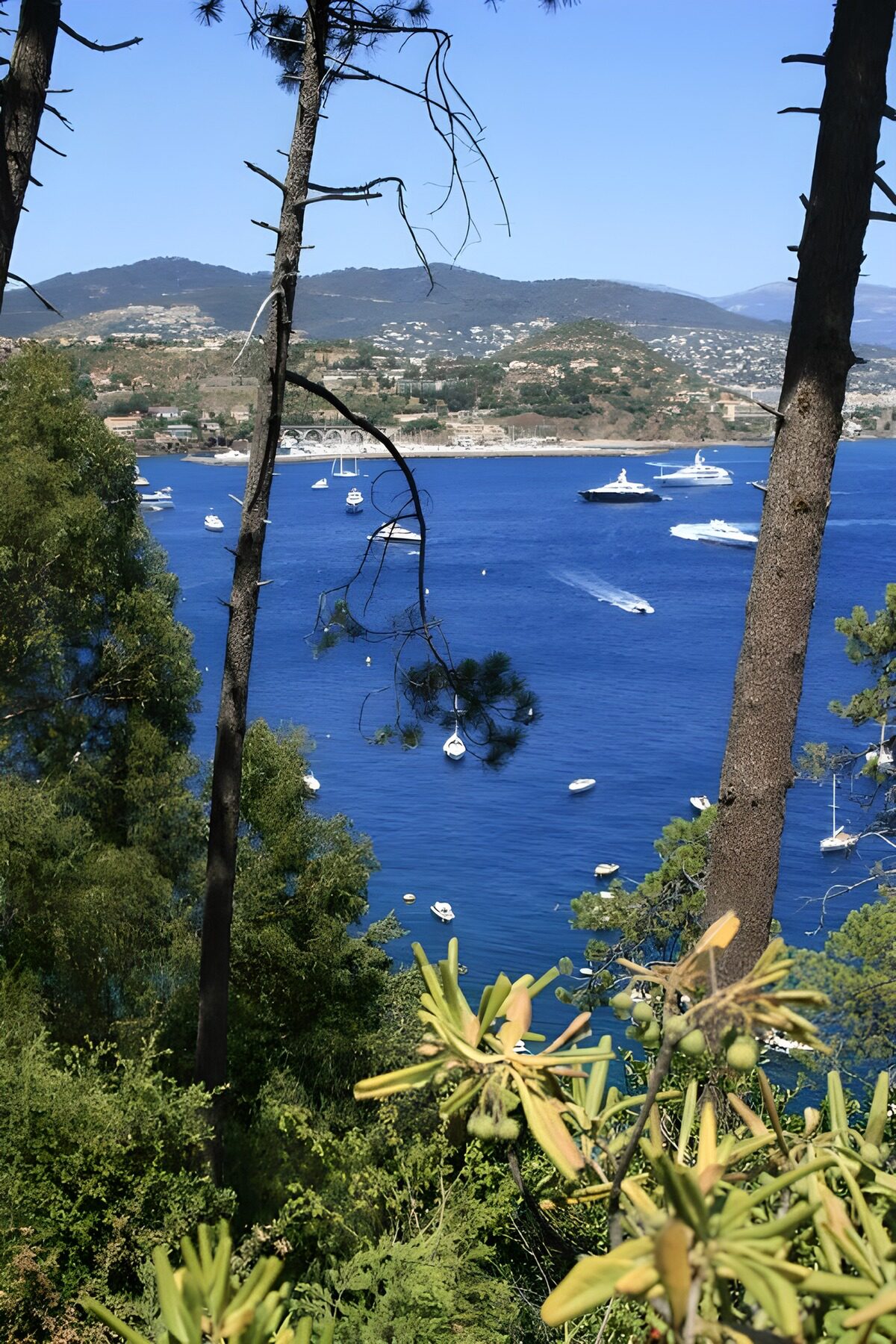 Tranquil Coastal View with Boats