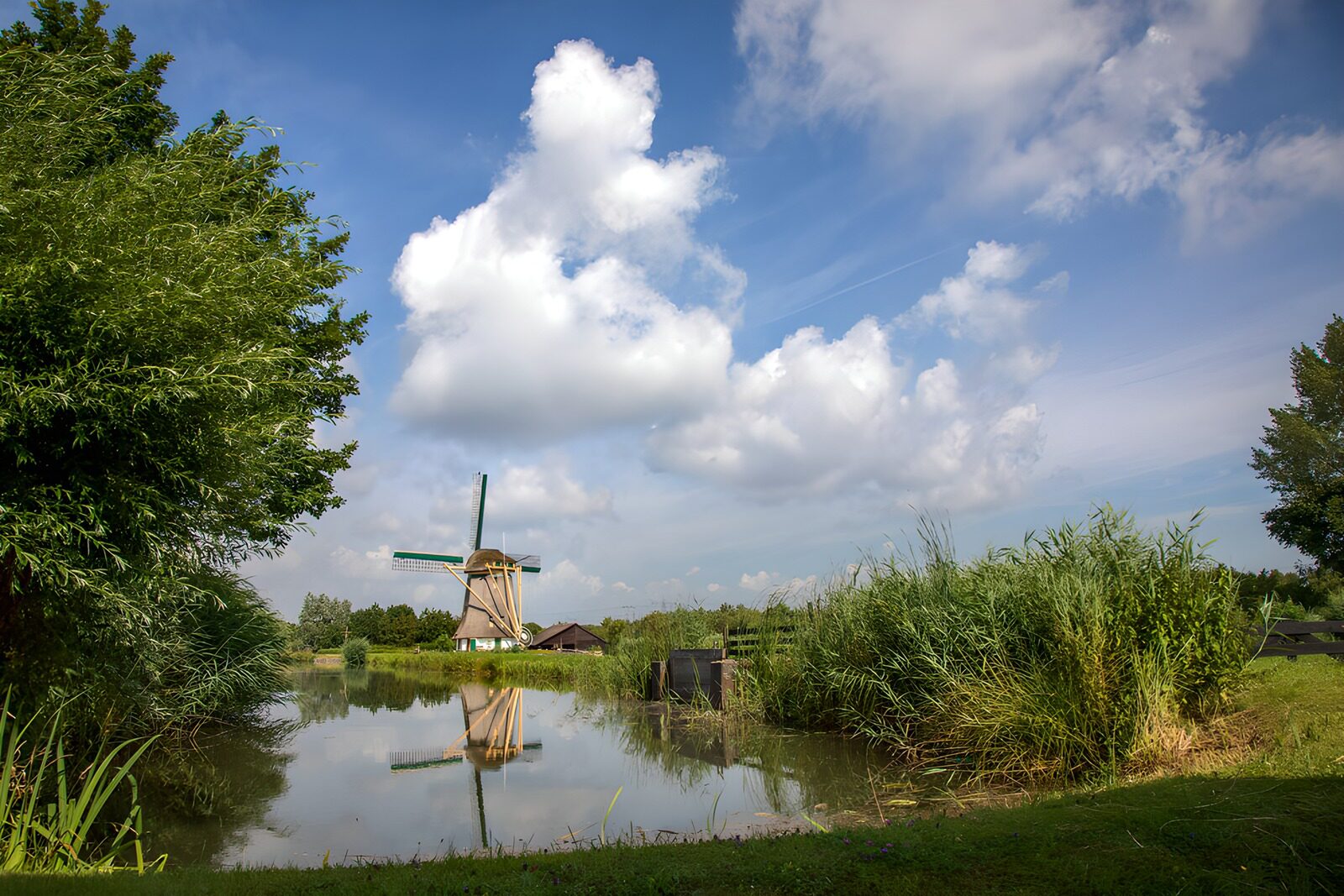 OCCOM5688618: Tranquil Dutch Windmill Reflection