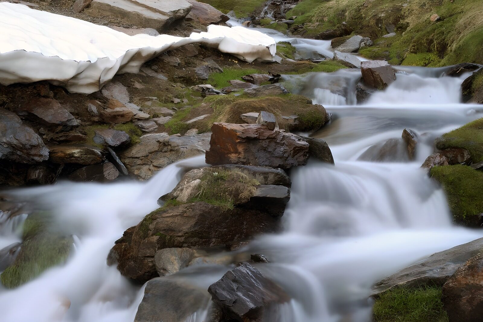 OCCOM3783425: Serene Mountain Stream Flow