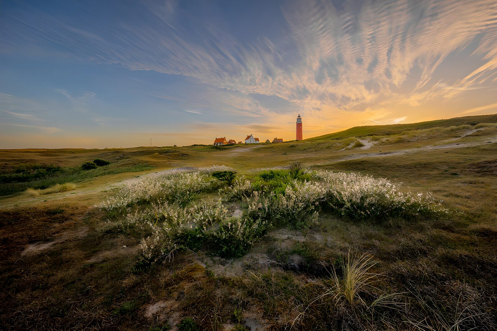 OCCOM6919996: Tranquil Dune Landscape at Sunset