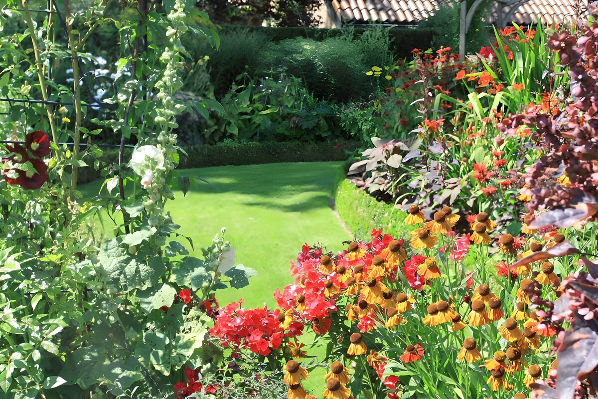 Vibrant Garden Pathway in Bloom