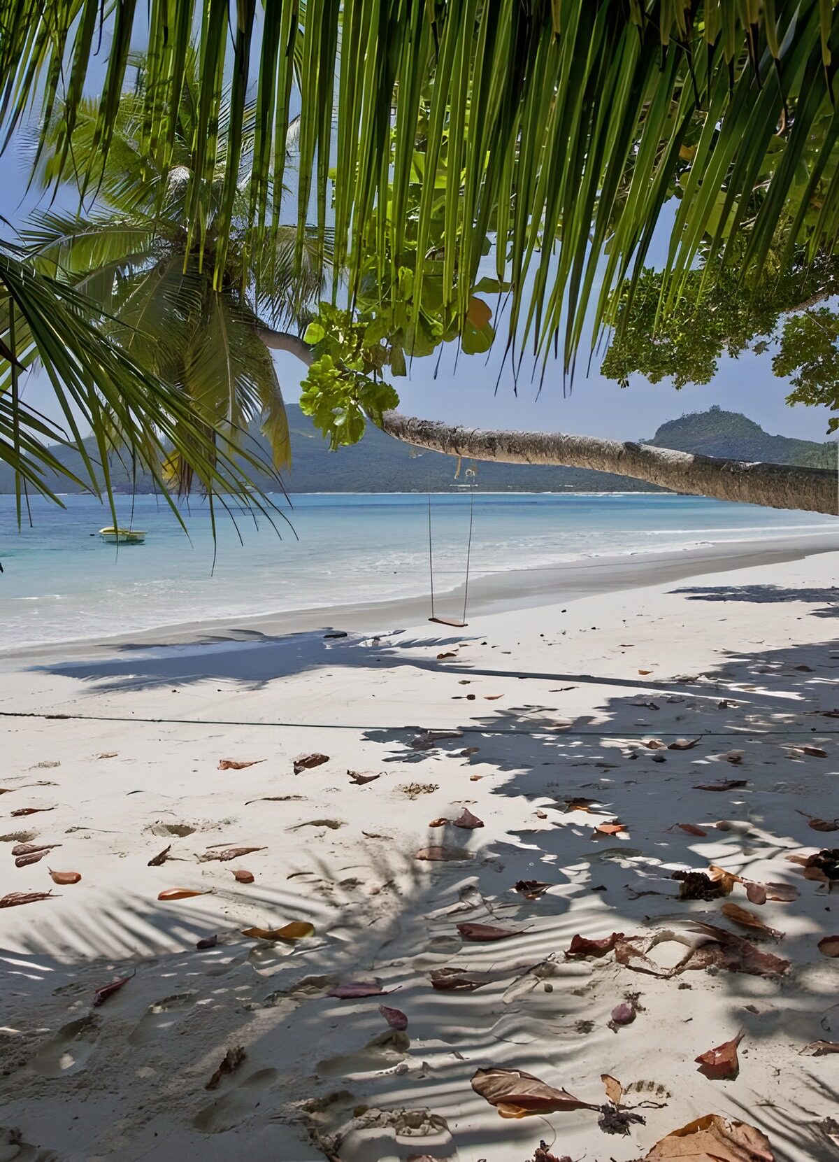 Tranquil Beach Paradise
