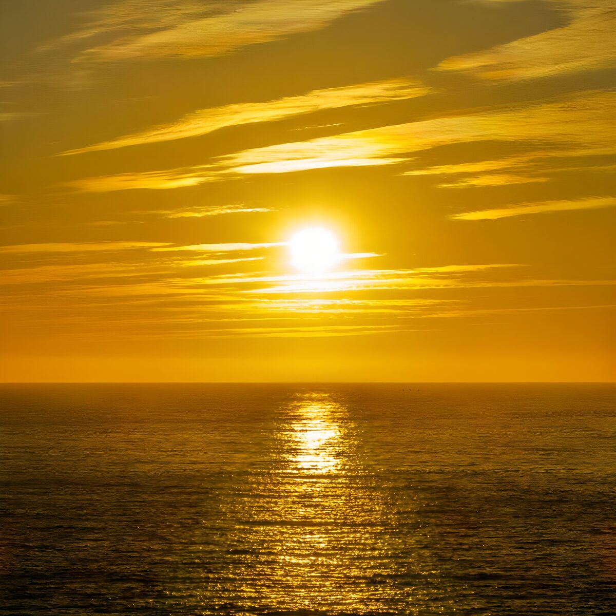 Golden Sunset Over the Ocean