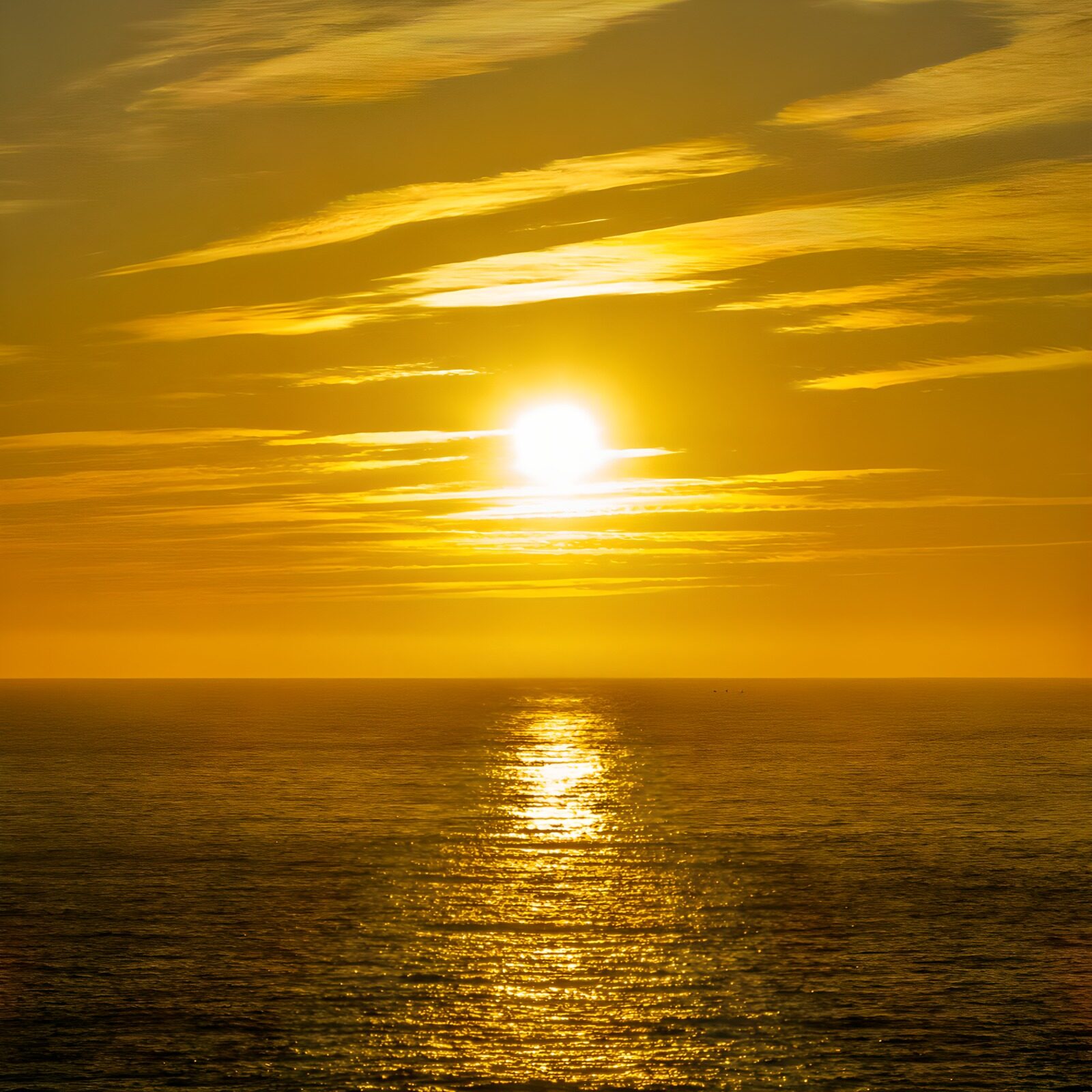 OCCOM5349618: Golden Sunset Over the Ocean