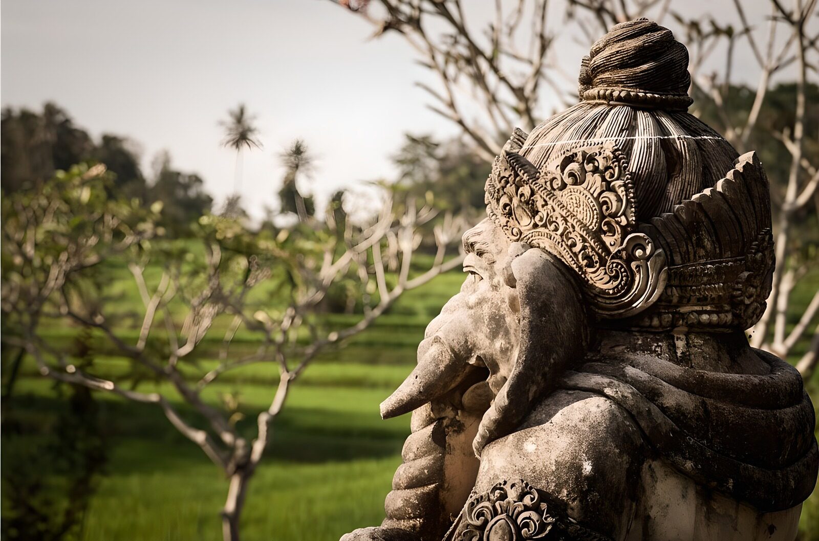 OCCOM3382447: Serene Ganesha Amidst Lush Greens