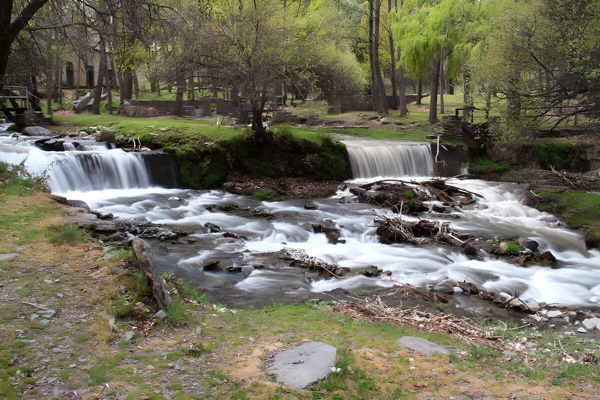 Serene Stream Flowing Through Forest