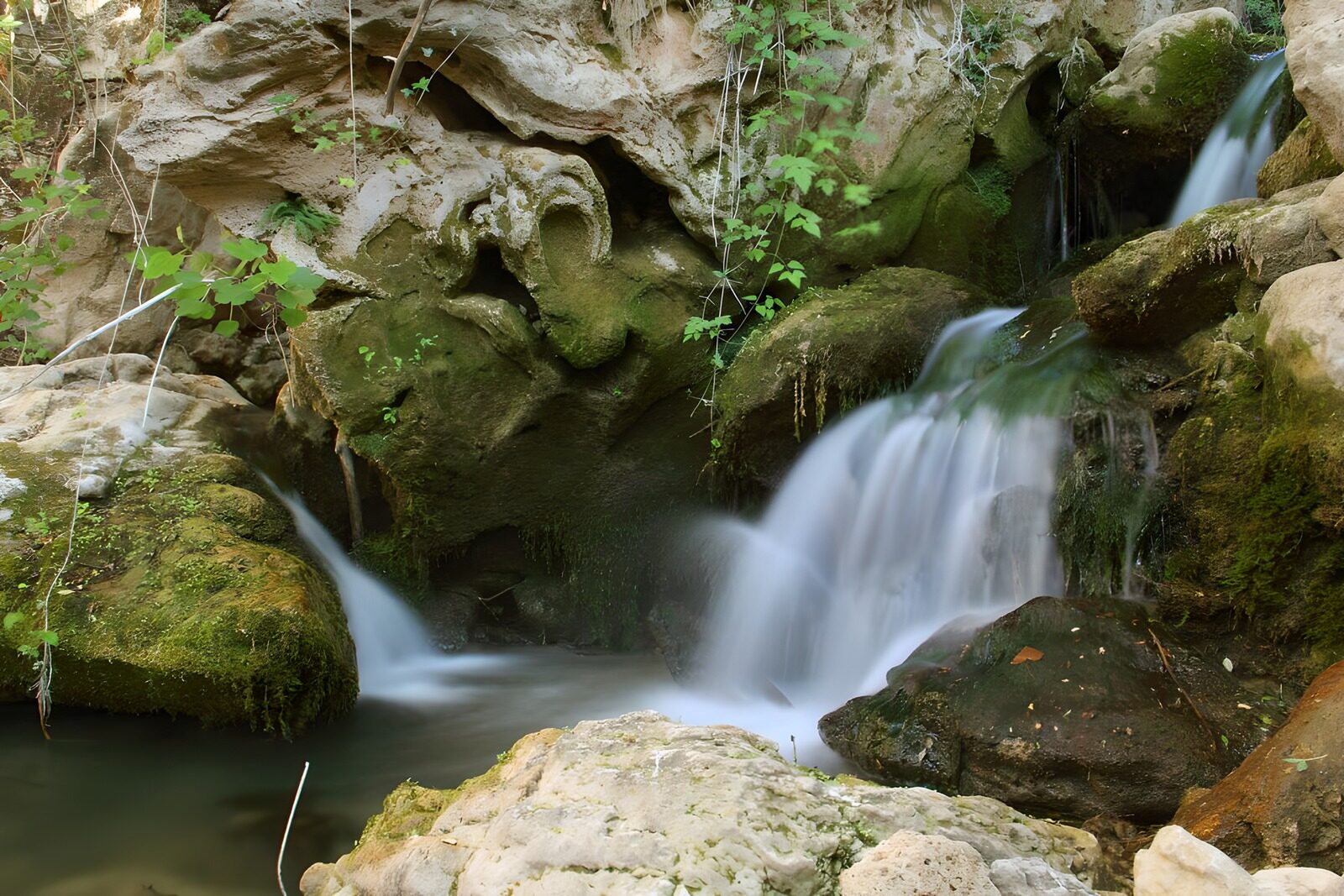 OCCOM6589999: Tranquil Waterfall in Nature's Embrace