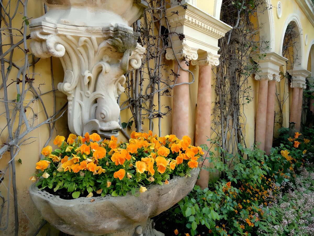 OCCOM7376098: Elegant Garden Arrangement with Pansies