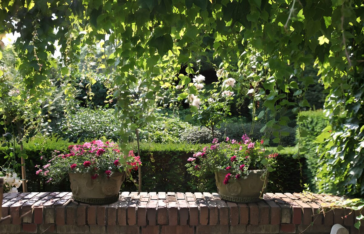 OCCOM9345426: Serene Garden Blooms Under Lush Canopy