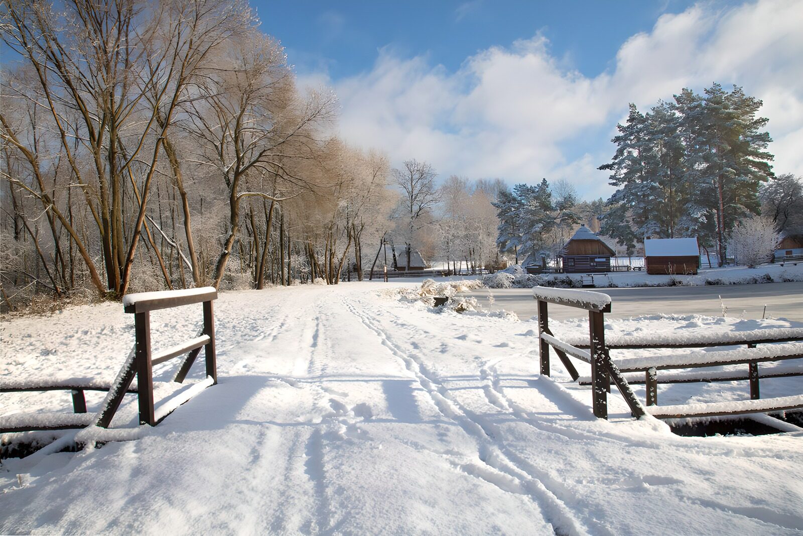 OCCOM4177231: Snowy Pathway through a Winter Landscape